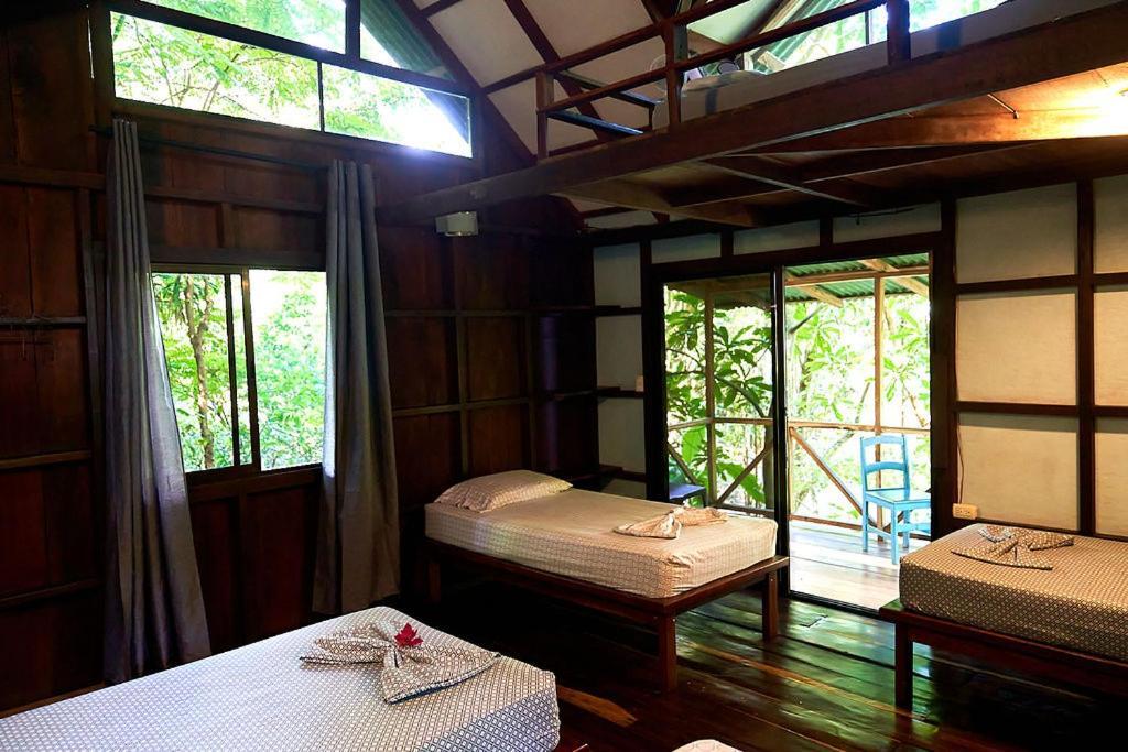 Luz En El Cielo Eco-B&B/Hostel Montezuma Εξωτερικό φωτογραφία