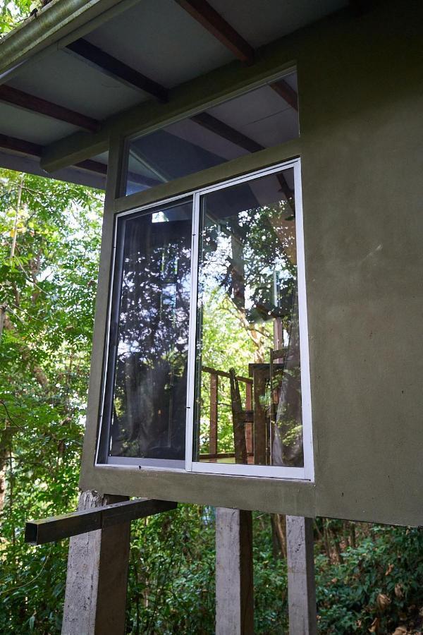 Luz En El Cielo Eco-B&B/Hostel Montezuma Εξωτερικό φωτογραφία