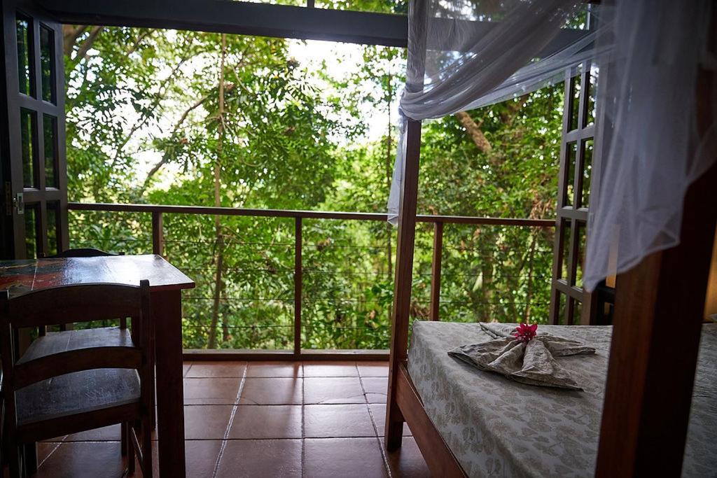 Luz En El Cielo Eco-B&B/Hostel Montezuma Εξωτερικό φωτογραφία
