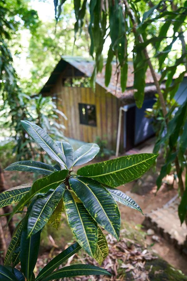 Luz En El Cielo Eco-B&B/Hostel Montezuma Εξωτερικό φωτογραφία