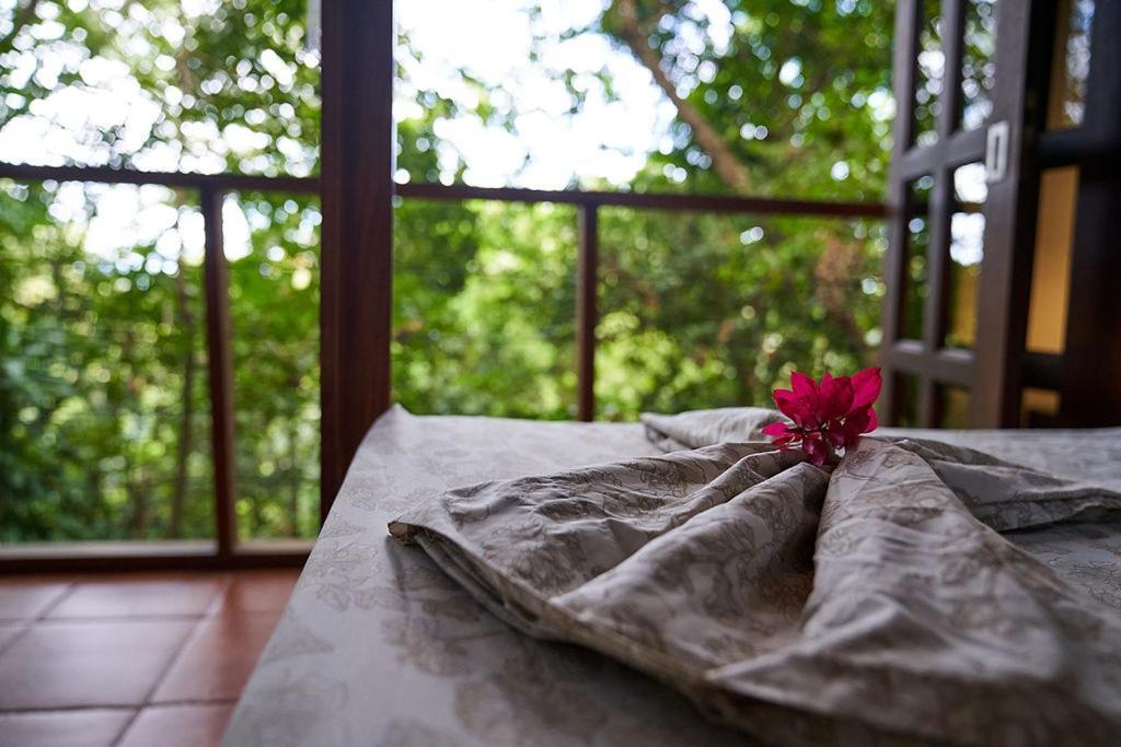Luz En El Cielo Eco-B&B/Hostel Montezuma Εξωτερικό φωτογραφία
