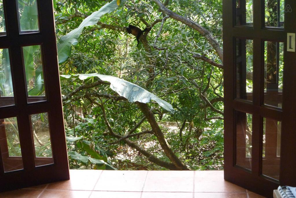 Luz En El Cielo Eco-B&B/Hostel Montezuma Δωμάτιο φωτογραφία