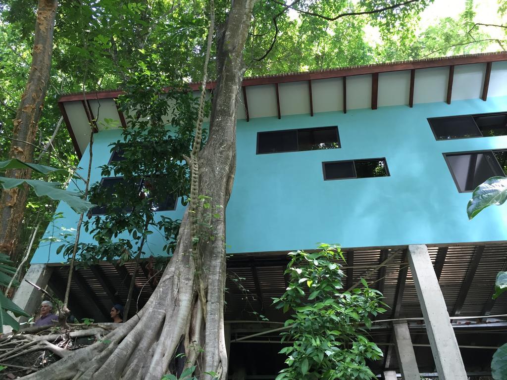Luz En El Cielo Eco-B&B/Hostel Montezuma Δωμάτιο φωτογραφία